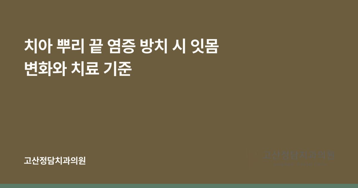 치아 뿌리 끝 염증 방치 시 잇몸 변화와 치료 기준