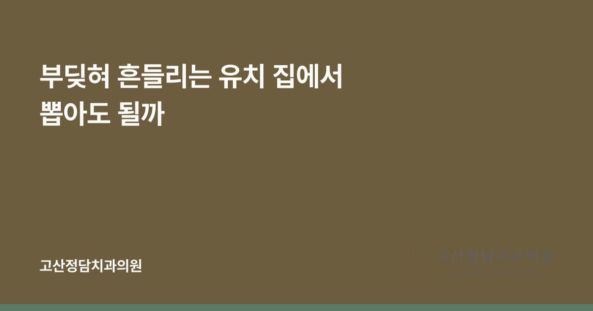 부딪혀 흔들리는 유치 집에서 뽑아도 될까