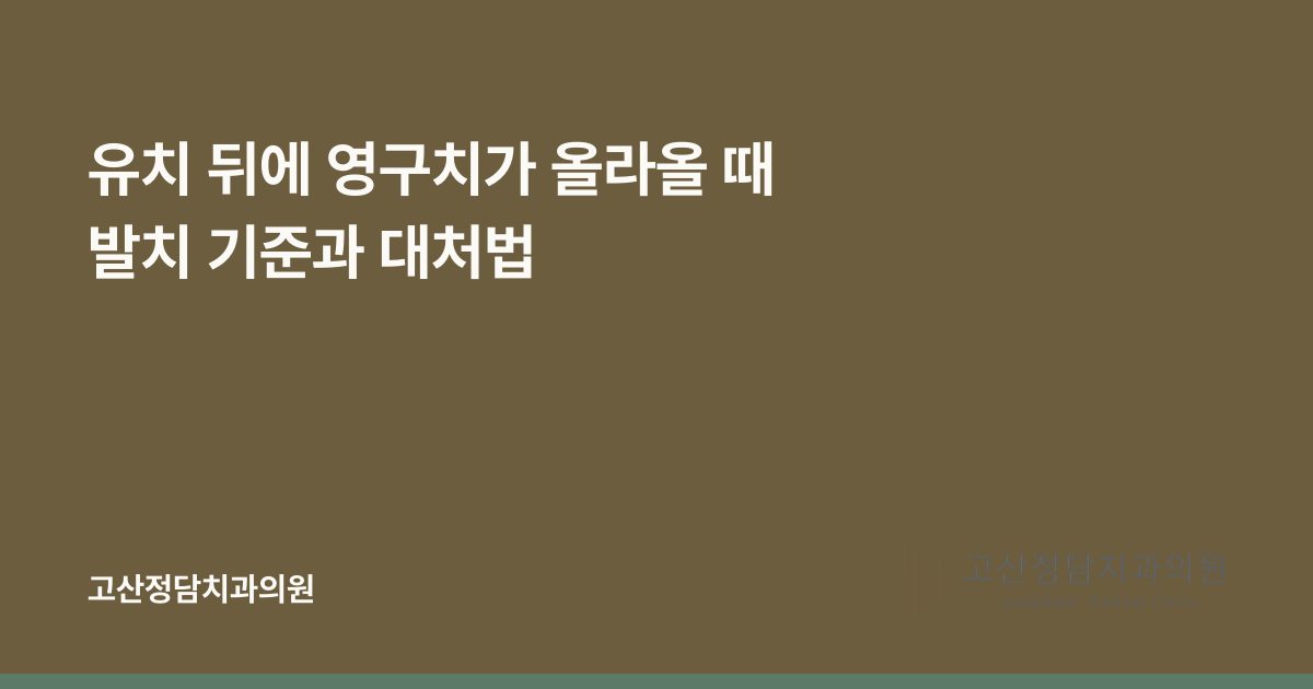 유치 뒤에 영구치가 올라올 때 발치 기준과 대처법